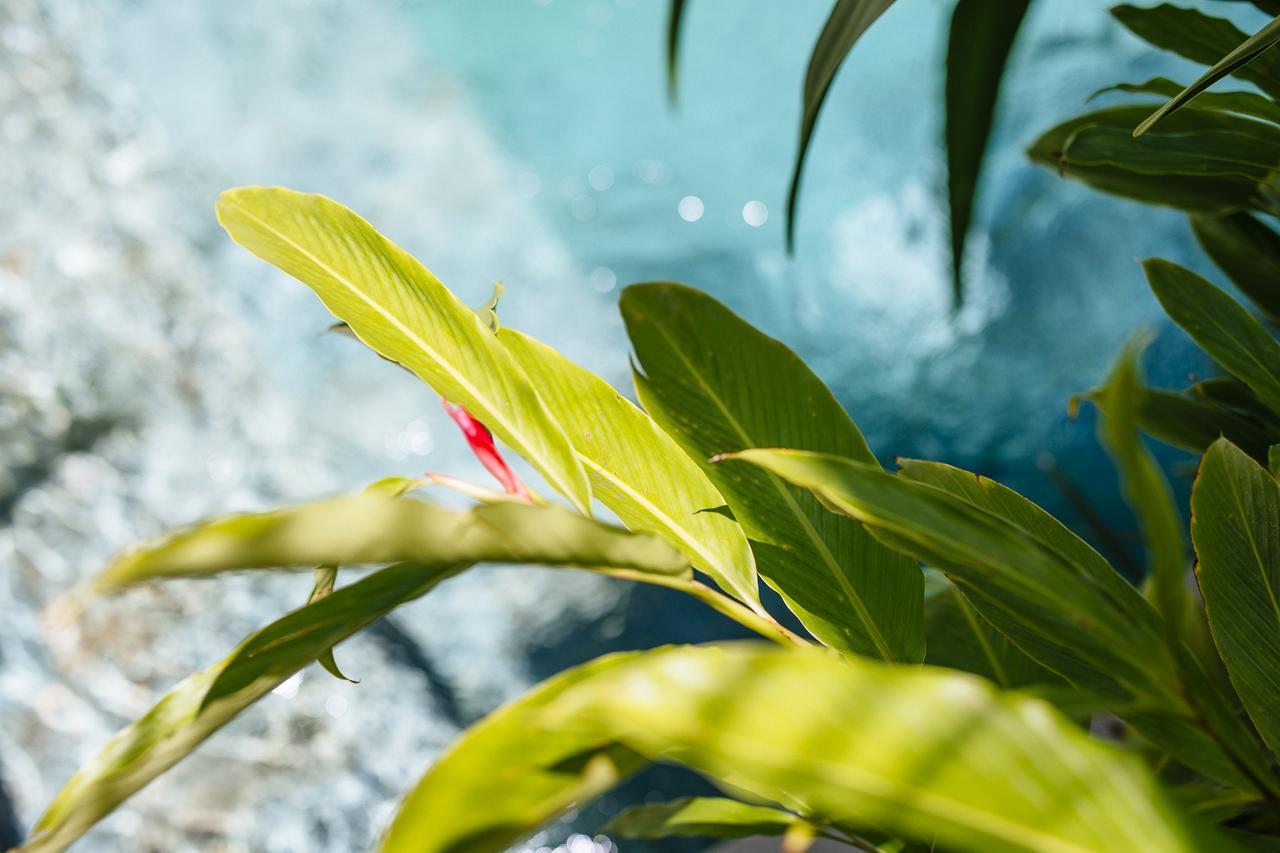 Villa Zita Seminyak Exteriör bild